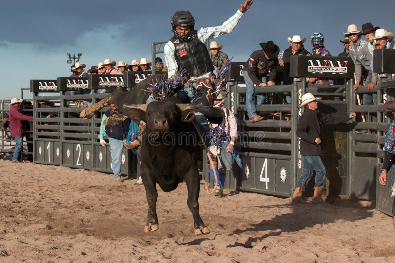 Indian cowboy rodeo bull riding in Arizona.