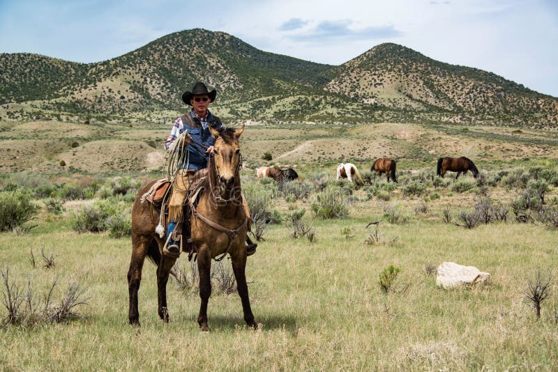 Cowboy wrangler ranch hand on horse with rope watching over horse herd