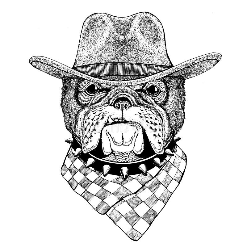 Cowboyhut des wilden Tieres der Bulldogge tragendes wilder Westtiercowboy-Tiert-shirt, Plakat, Fahne, Ausweisdesign lizenzfreie abbildung Cowboyhut des wilden Tieres der Bulldogge tragendes wilder Westtiercowboy-Tiert-shirt, Plakat, Fahne, Ausweisdesign lizenzfreie abbildung