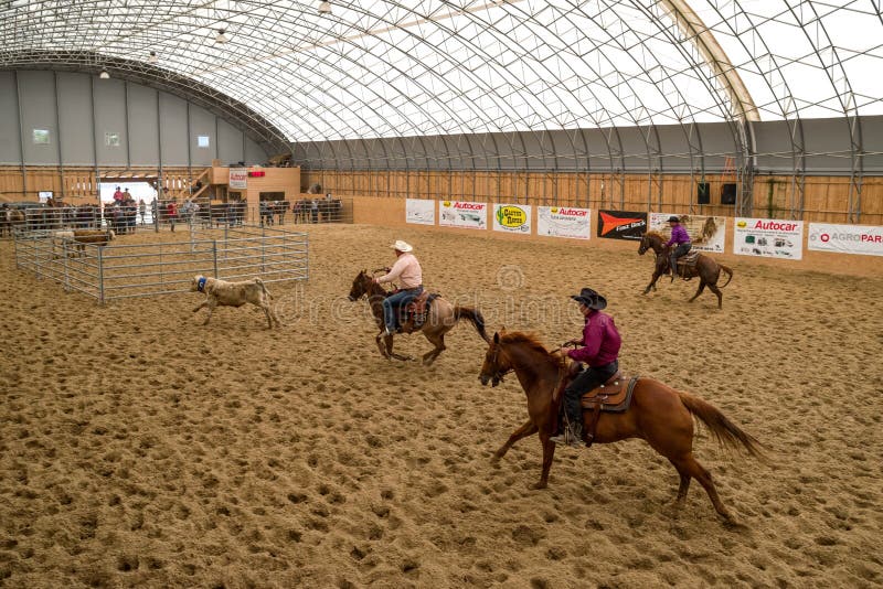 Cowboys on horses at rodeo show royalty free stock images Cowboys on horses at rodeo show royalty free stock images