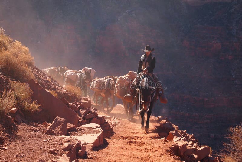 Cowboys op een zonnige dag stock fotografie Cowboys op een zonnige dag stock fotografie