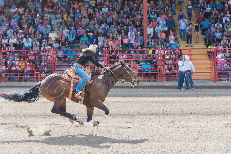 Cowgirl och hästkapplöpning till mållinjen på tävlings- konkurrens för trumma royaltyfri fotografi Cowgirl och hästkapplöpning till mållinjen på tävlings- konkurrens för trumma royaltyfri fotografi