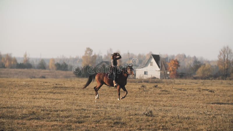 Cowgirl på den bruna hästen utomhus Ridninghäst för ung kvinna med på soluppgångfältet