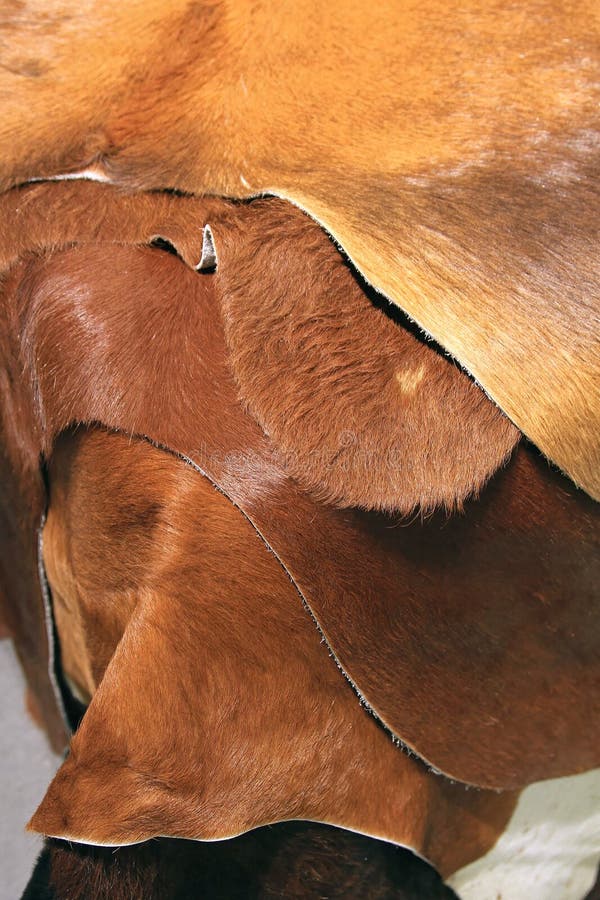 Cowhide stock image. Image of natural, leather, fashion 39414177