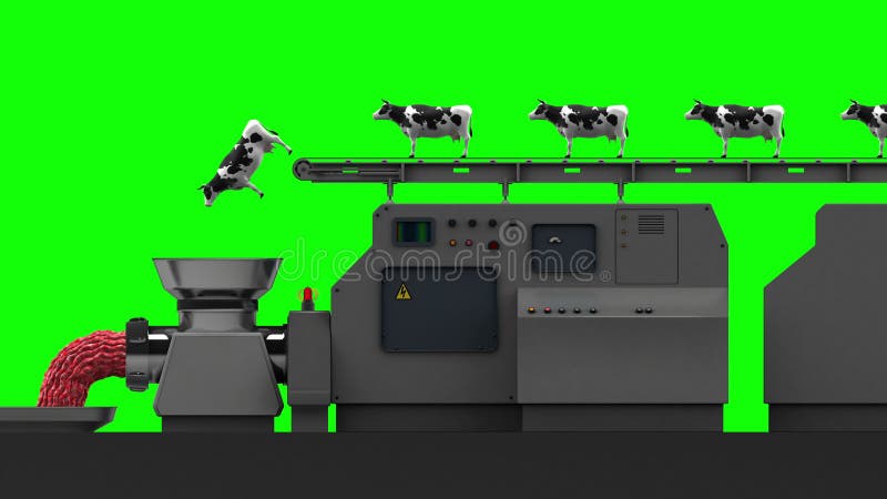 Cows Fall Into A Meat Grinder 4k Seamless Loop Green Screen Stock Footage Video Of Amiable Horned 78947482
