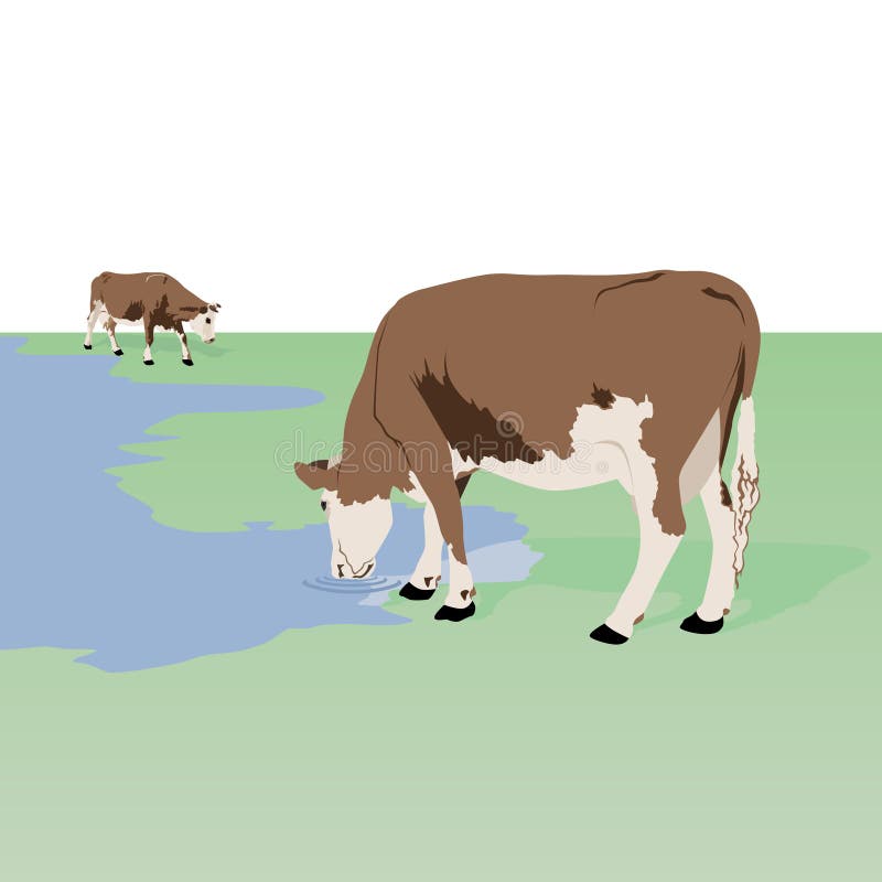 Watering Colors Stock Illustrations 1,237 Watering Colors Stock