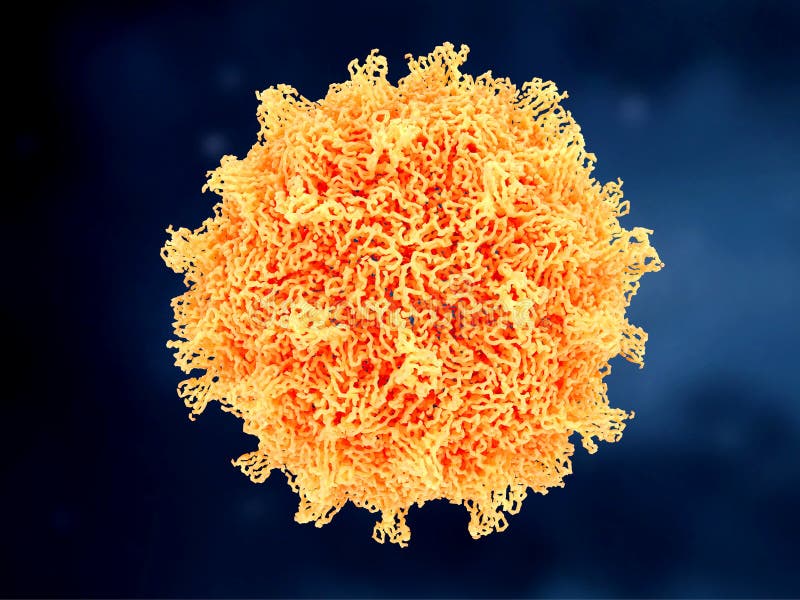 Coxsackievirus A21. Coxsackievirussen Kunnen Meningitis Handmond En