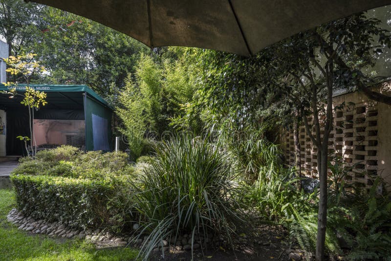 COYOACAN, MEXICO - OCT 28, 2016: Blauwe Huis und binnenplaats van La Casa Azul stock afbeelding COYOACAN, MEXICO - OCT 28, 2016: Blauwe Huis und binnenplaats van La Casa Azul stock afbeelding