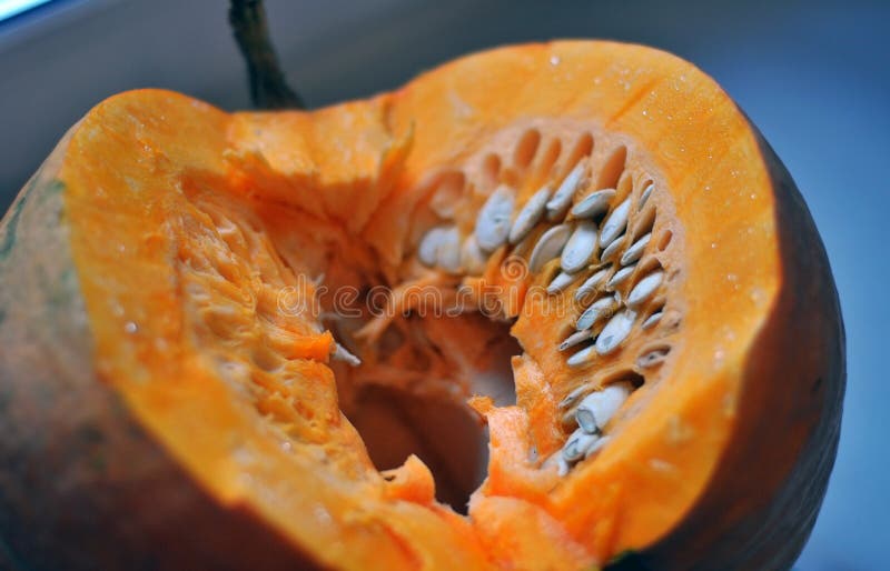 Feche O Retrato Do Halloween De Um Casal Engraçado Casal De Halloween Linda  Mulher Surpreendida Com Chapéu De Bruxa E Fantasia - Foto de Stock - Imagem  de isolado, pares: 161146344