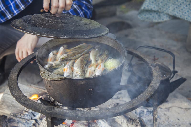 A Menina Está Sentando-se Perto Do Fogo E Está Fritando-se O Bacon  Cozimento Em Condições Do Acampamento Na Estaca Imagem de Stock - Imagem de  menina, forquilha: 101999071