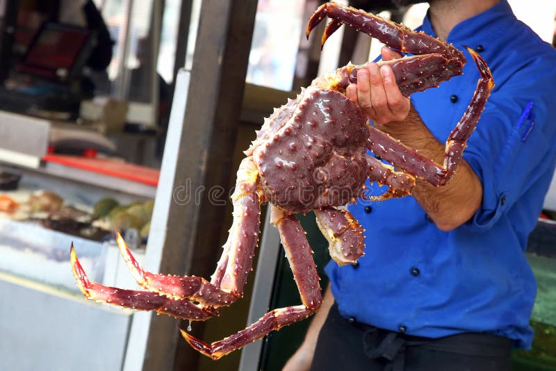 Cozinheiro que guarda um grande caranguejo imagem de stock