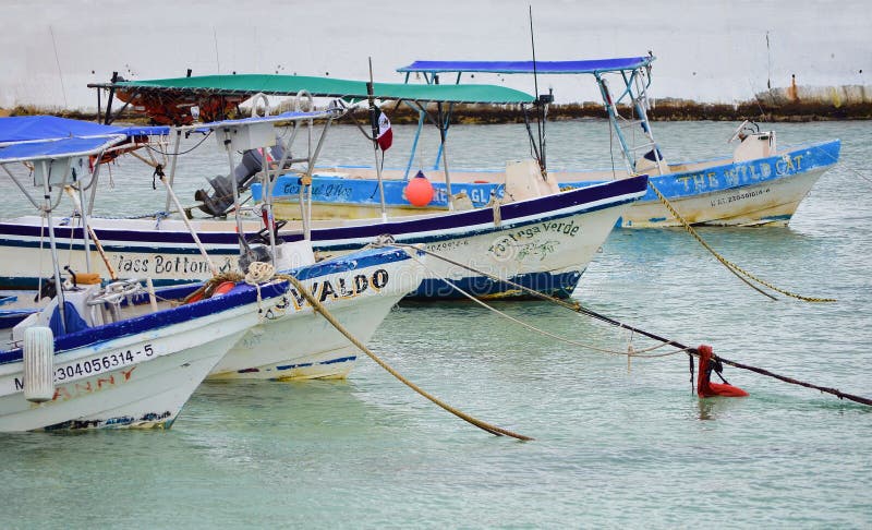 COZUMEL - MARZ 6: Mening van de haven op Cozumel Mexico Het eiland wordt gevestigd 10 mijlen van het oosten van Playa del Carmen royalty-vrije stock afbeeldingen COZUMEL - MARZ 6: Mening van de haven op Cozumel Mexico Het eiland wordt gevestigd 10 mijlen van het oosten van Playa del Carmen royalty-vrije stock afbeeldingen