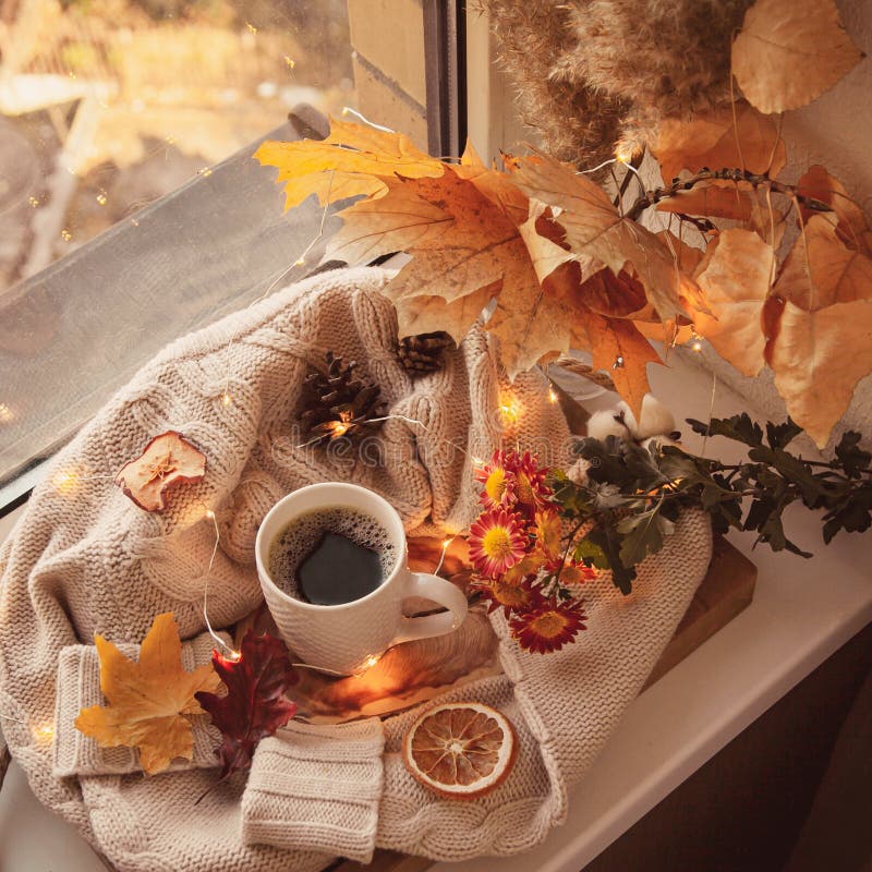 Cozy Autumn Still Life on the Windowsill in the Style of Instagram ...