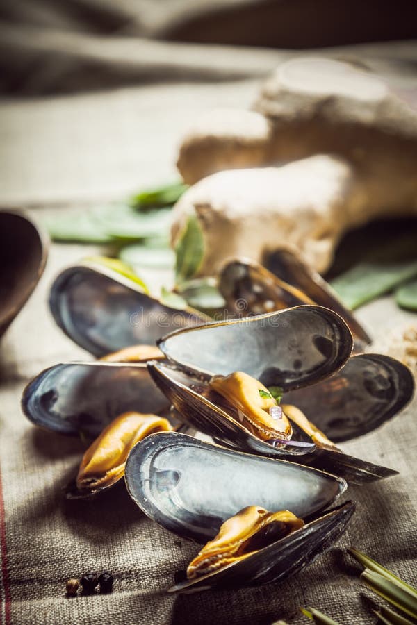 Cozze bollite fresche per una cena dei frutti di mare immagine stock libera da diritti Cozze bollite fresche per una cena dei frutti di mare immagine stock libera da diritti