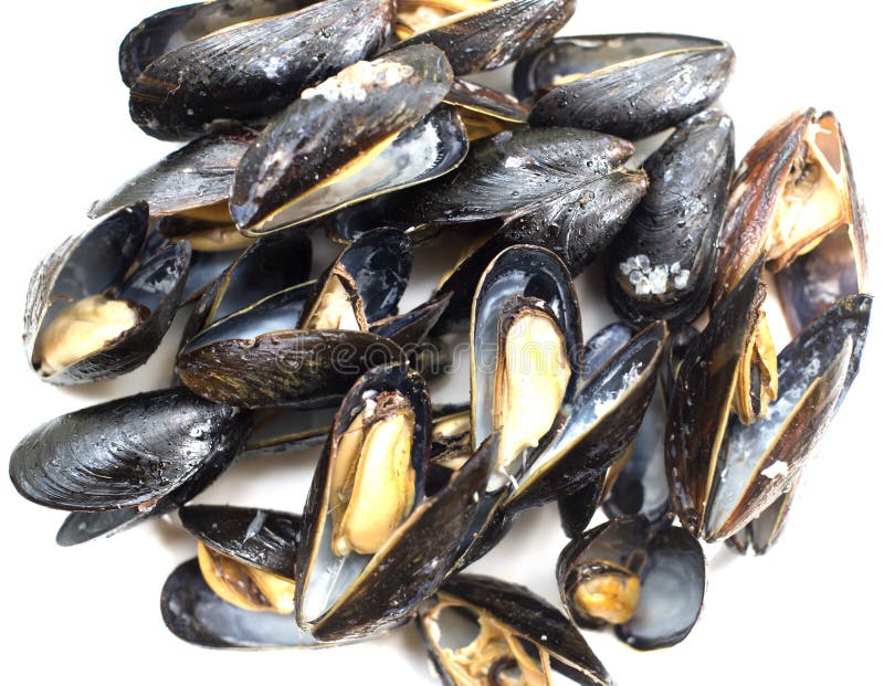 Cozze cucinate fresche fotografia stock