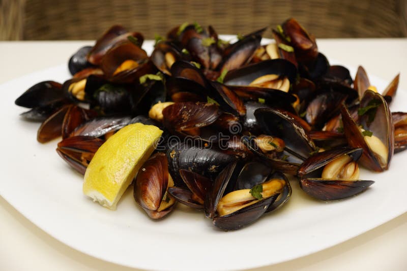 Cozze in Shell Boiled With Wine On il piatto immagine stock libera da diritti