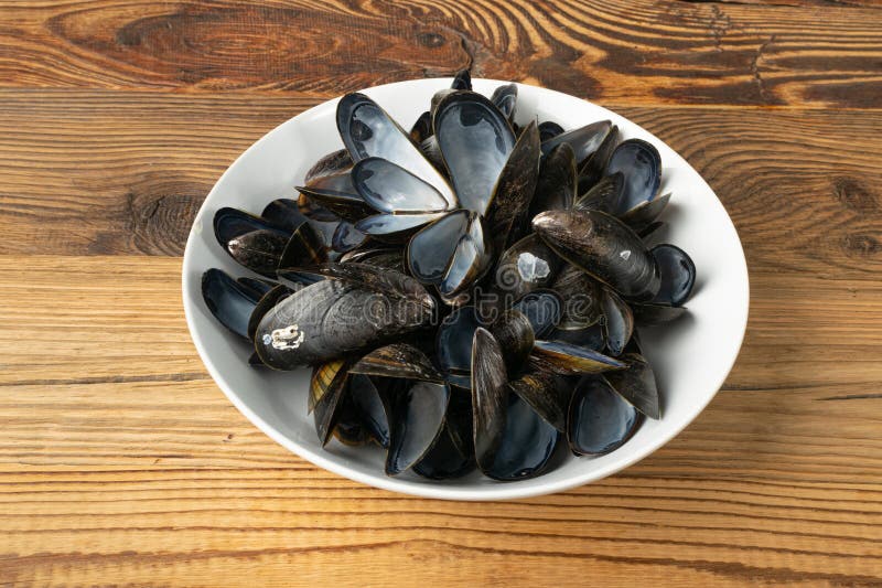 Cozze vuote conchiglie nere conchiglie conchiglie di molluschi cosparse di cozze di molluschi sulla vista superiore di fondo del l fotografie stock