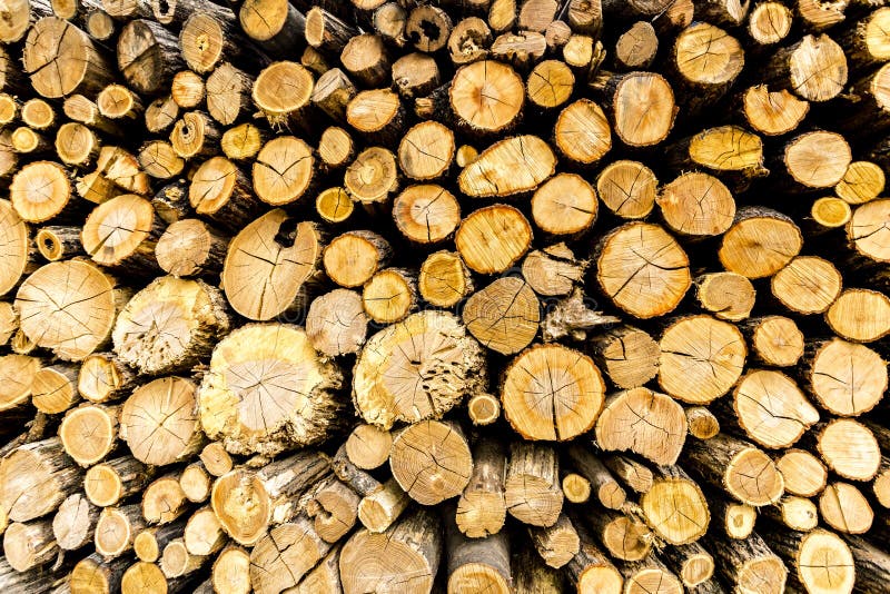 Сосна прервала швырок штабелированный в woodpile стоковое изображение rf Сосна прервала швырок штабелированный в woodpile стоковое изображение rf