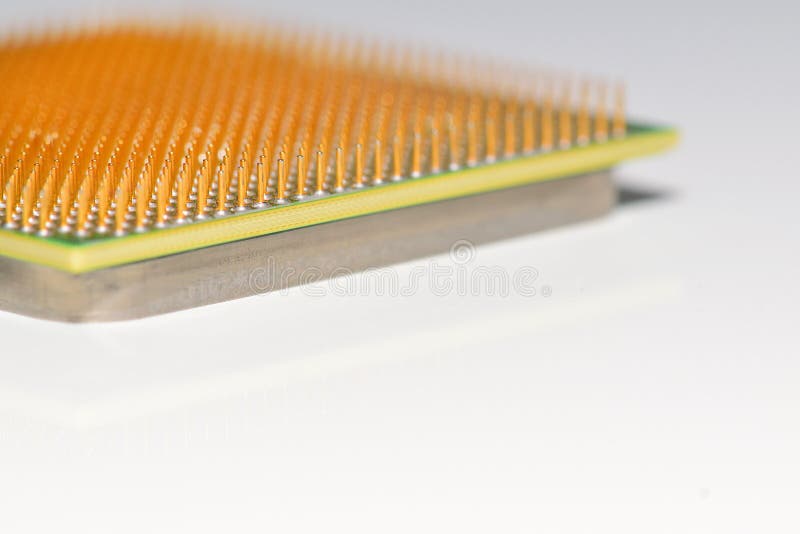 CPU - central processor unit. Golden pins of a core. Copy space. Shallow depth of field