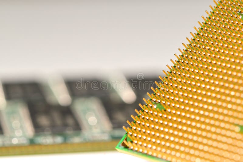 CPU with a memory on the background. Central processor unit. Golden pins of a processor stock image