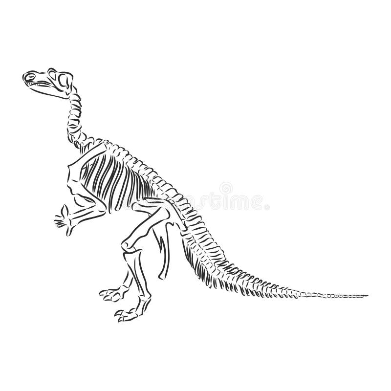 Como Desenhar Uma Ilustração Vetorial Dinossauro Desenhe