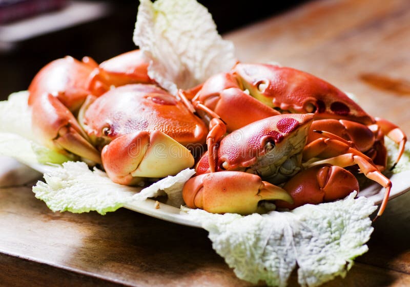 King crab plate stock photo. Image of crab, food, dinner 15489472