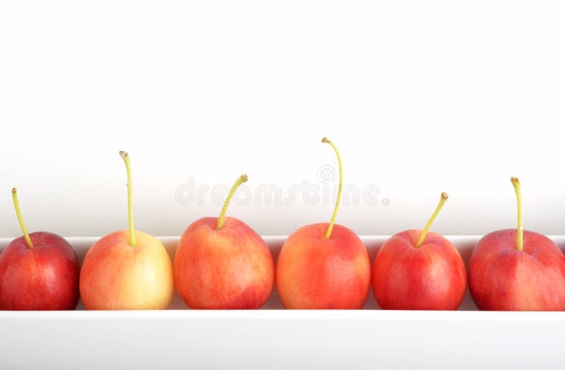 Crab apples royalty free stock images Crab apples royalty free stock images