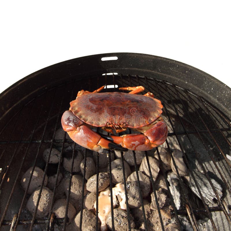 Crab on charcoal grill stock image. Image of meal, coal 25533343