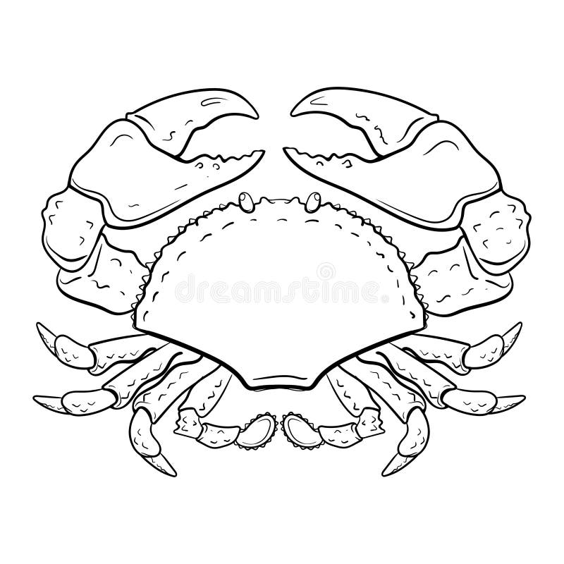 crab coloring page. Hand-drawn zodiac cancer . Horoscope symbol for your use. For tattoo art, coloring book. Coloring page for