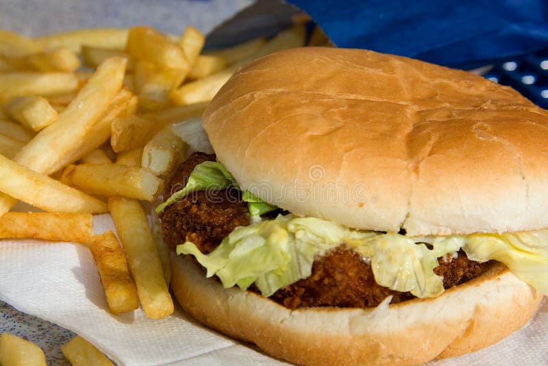 Crab fish burger with french fries stock photo