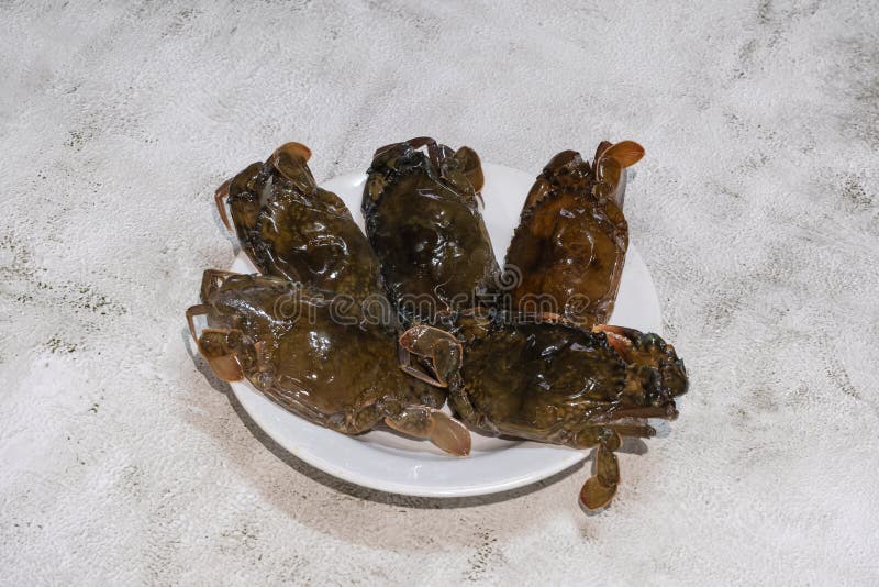 Crab molting science name is Scylla serrata Mud crab for fresh food preservation is raw materials seafood market delicious Thai