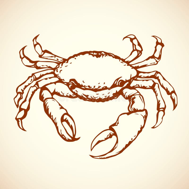 Crab. 