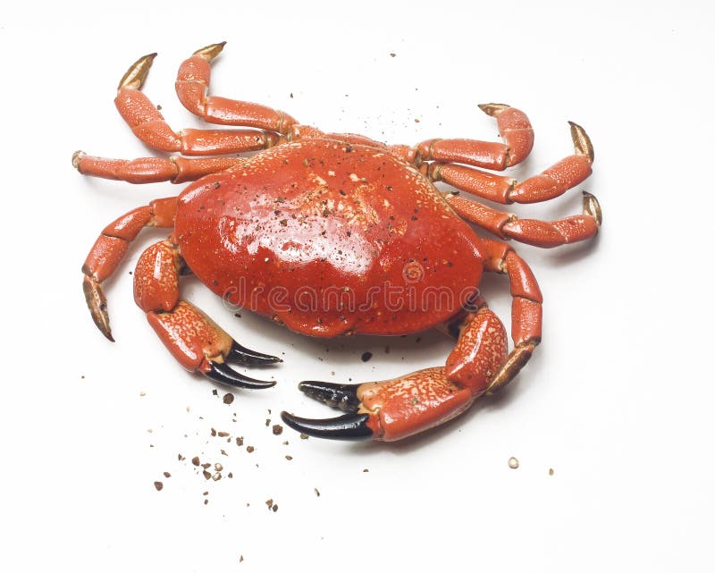Crabe et poivre Crabe et poivre
