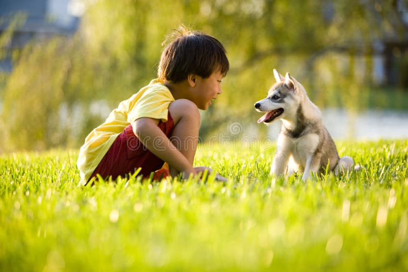 Les Enfants Jouent Au Football. Enfant Au Terrain De Football Image stock -  Image du champion, enfants: 172302937