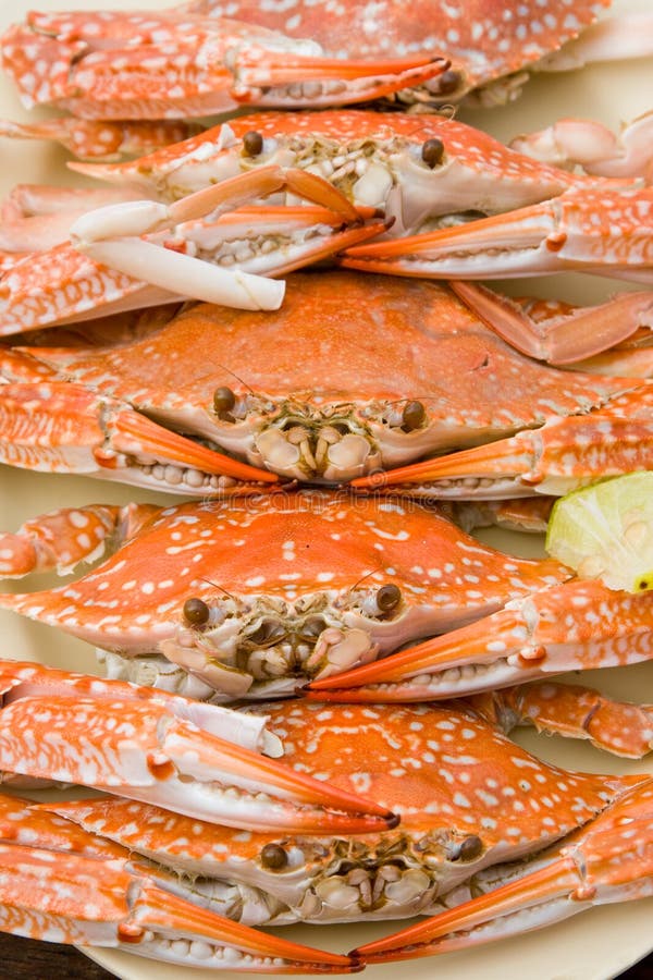King Crab Legs stock image. Image of ocean, washington 972513