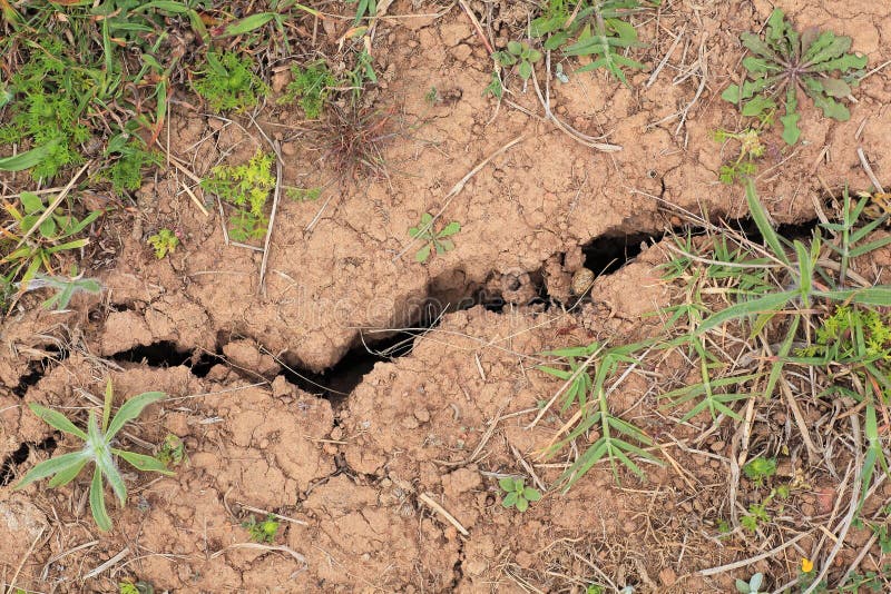 Top-view shot of a crack in dry loamy ground. Top-view shot of a crack in dry loamy ground