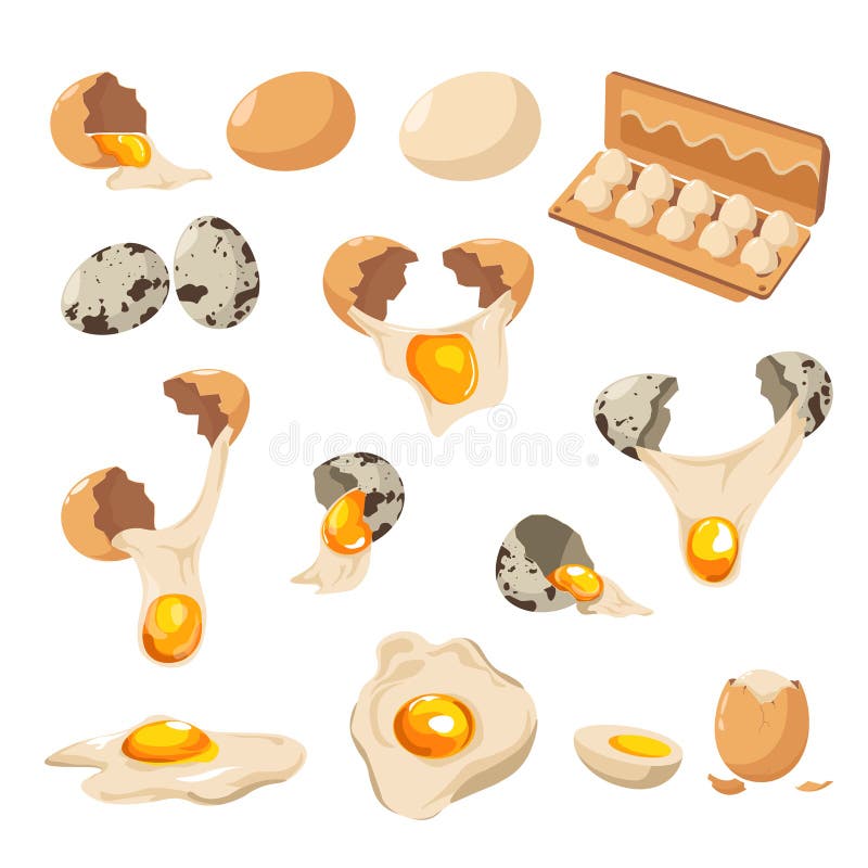 Eggs of chicken and quail, cracked shell and yolk isolated icons