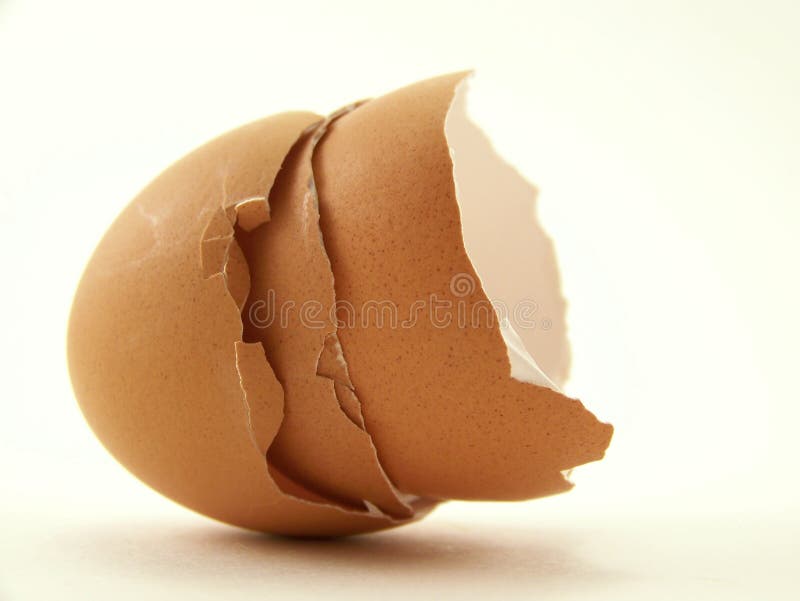 Cracked Brown Egg Shells