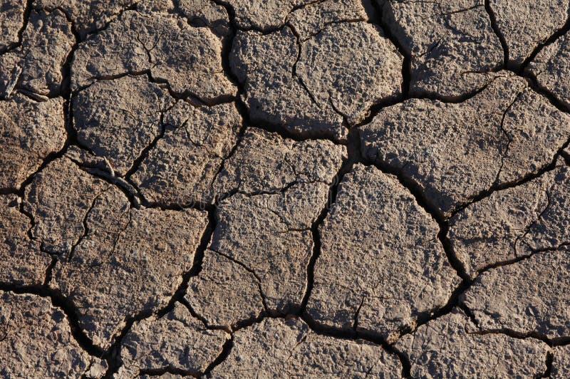 Cracked Dried Earth royalty free stock photo