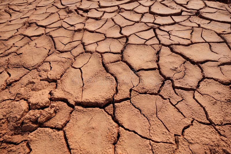 Dried mud texture