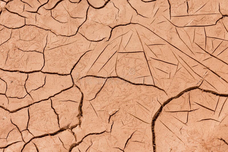 Cracked dry earth or mud environmental background texture pattern conceptual of drought and natural disaster. Cracked dry earth or mud environmental background texture pattern conceptual of drought and natural disaster
