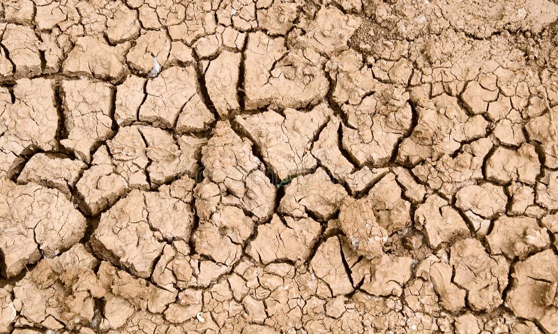 Cracked dry earth2