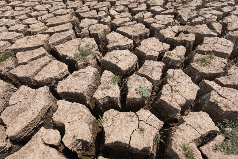Cracked Dry Land without Water Stock Photo Image of closeup