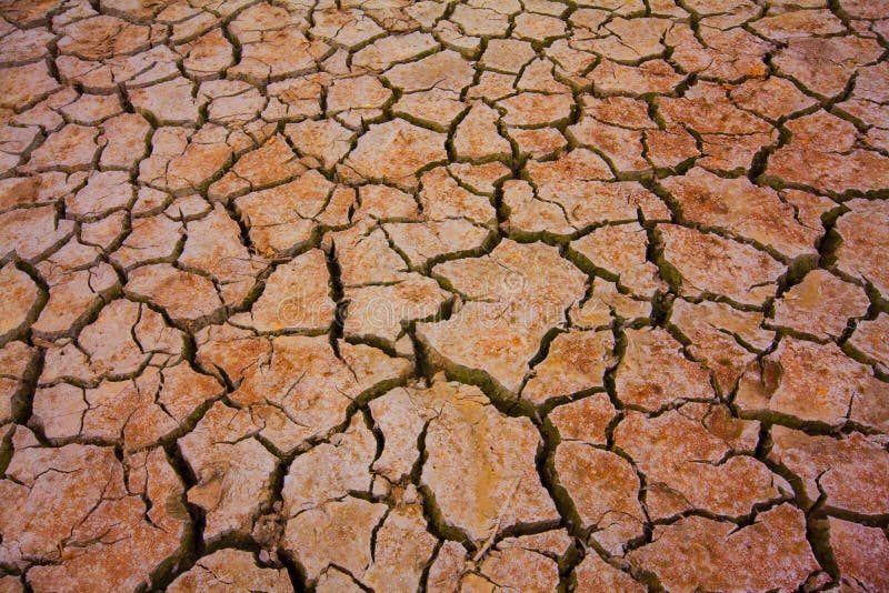 Incrinato La terra immagine concettuale da a livello globale riscaldamento.