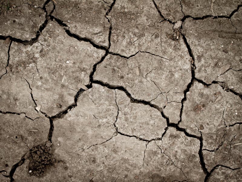 Dry and cracked earth or mud