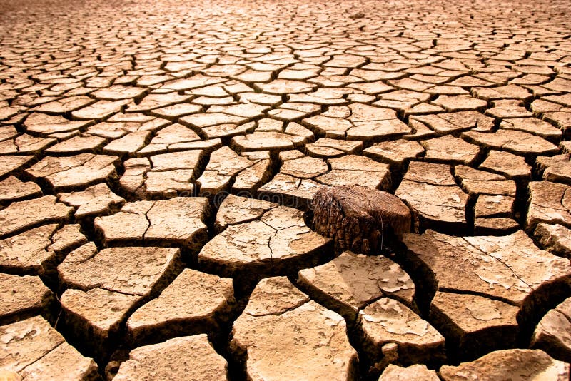 Agrietado, secado países después seco.