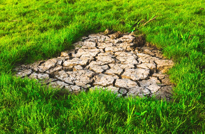 The Cracked Earth Ground in the Field Stock Photo Image of global
