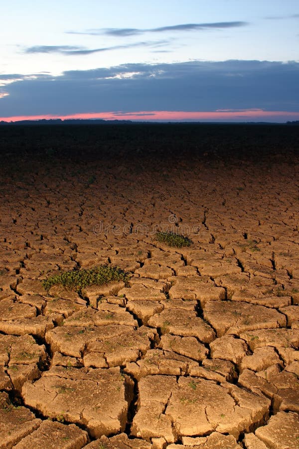 Cracked earth at sunset