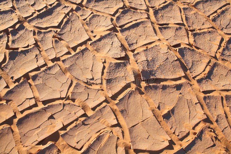 Cracked Ground Picture. Image 7778948