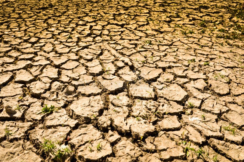 Cracked Arid Dirt Ground Background. Cracked Arid Dirt Ground Background